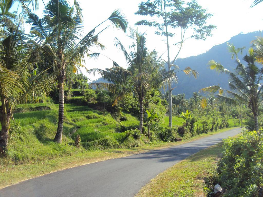 Villa Uma Ayu Sidemen Sidemen  Exterior photo